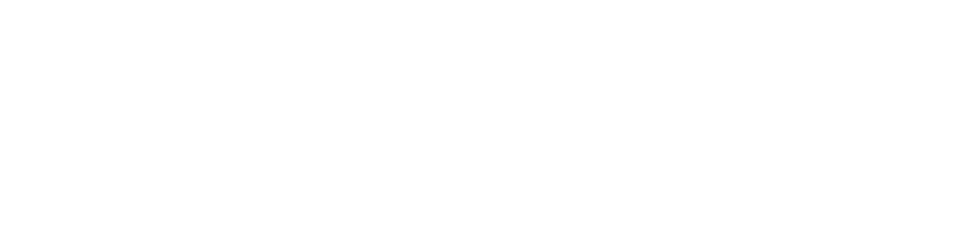 Simplex Studio